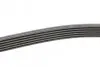 Ремень генератора VW T5/Amarok 2.0TDI 09-/Ford Focus/Kuga/Galaxy 98-/Opel Astra J/Insignia A 1.6 08- CONTINENTAL Contitech 6PK1555 (фото 2)