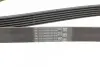 Ремень генератора VW T5/Amarok 2.0TDI 09-/Ford Focus/Kuga/Galaxy 98-/Opel Astra J/Insignia A 1.6 08- CONTINENTAL Contitech 6PK1555 (фото 3)