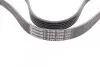 Ремень генератора Citroen Berlingo 1.6 00-08/ Nemo 1.4i 08- CONTINENTAL Contitech 6PK1560 (фото 2)