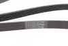 Ремень генератора Citroen Berlingo 1.6 00-08/ Nemo 1.4i 08- CONTINENTAL Contitech 6PK1560 (фото 3)