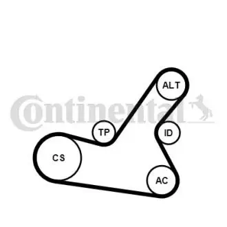 Комплект поликлинових ременів (з роликами) CITROEN XSARA, XSARA PICASSO, XSARA/KOMBI, PEUGEOT 206 1.1-1.6LPG 04.97-12.12 Contitech 6PK1564K2