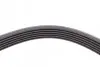 Ремень генератора Opel Astra 1.7CDTi 03-/Renault Megane/Laguna 1.9-3.0 97-03/BMW 1 (E81/E87) 04-11 CONTINENTAL Contitech 6PK1605 (фото 3)