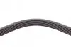 Ремінь генератора VW Crafter 2.0TDI 11-16/Opel Corsa D 1.7CDTI 06-11/Ford Fiesta 1.8DI 00-03 CONTINENTAL Contitech 6PK1613 (фото 3)