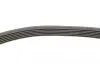 Комплект ремня генератора VW Crafter 2.0TDI 11-16 (6PK1613) CONTINENTAL Contitech 6PK1613K1 (фото 2)