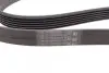 Ремень генератора Opel Astra 1.7CDTI 04-10/ Subaru Tribeca 3.0-3.6 05-/ VW Passat 3.2 05-10 CONTINENTAL Contitech 6PK1623 (фото 2)
