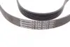 Ремень генератора Opel Astra 1.7CDTI 04-10/ Subaru Tribeca 3.0-3.6 05-/ VW Passat 3.2 05-10 CONTINENTAL Contitech 6PK1623 (фото 3)