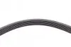 Ремень генератора Opel Astra 1.7CDTI 04-10/ Subaru Tribeca 3.0-3.6 05-/ VW Passat 3.2 05-10 CONTINENTAL Contitech 6PK1623 (фото 4)