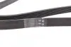 Ремень генератора VW LT 2.8TDI 97-06/Ford Transit 2.2TDCi 11-14/Citroen Jumper 2.2HDi 11- CONTINENTAL Contitech 6PK1642 (фото 2)