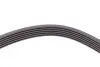 Ремень генератора VW LT 2.8TDI 97-06/Ford Transit 2.2TDCi 11-14/Citroen Jumper 2.2HDi 11- CONTINENTAL Contitech 6PK1642 (фото 4)