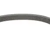 Комплект ремня генератора MB C-class (W205) 2.2D (OM651) 14-18 CONTINENTAL Contitech 6PK1642K3 (фото 2)