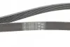 Ремень генератора Fiat Scudo/Citroen Berlingo/VW Golf CONTINENTAL Contitech 6PK1660 (фото 3)