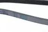 Ремінь генератора Toyota Corolla 1.4/1.6 02-06/Ford Escort 1.6/1.8 92-99/Audi A6/100 2.6-2.8 91-97 CONTINENTAL Contitech 6PK1675 (фото 3)