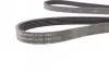Ремень генератора VW LT 2.8TDI 01-06/Volvo 850/S70/S80/V70 2.5TDI 95-06/Opel Astra/Insignia 1.6 12- CONTINENTAL Contitech 6PK1685 (фото 2)