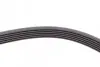 Ремень генератора VW LT 2.8TDI 01-06/Volvo 850/S70/S80/V70 2.5TDI 95-06/Opel Astra/Insignia 1.6 12- CONTINENTAL Contitech 6PK1685 (фото 3)