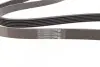 Ремінь генератора Skoda Yeti/Seat Toledo/VW Touran/Caddy 1.2TSI 09-17/Toyota Corolla 1.4/1.6i 01-08 CONTINENTAL Contitech 6PK1693 (фото 3)