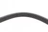 Ремінь генератора Skoda Yeti/Seat Toledo/VW Touran/Caddy 1.2TSI 09-17/Toyota Corolla 1.4/1.6i 01-08 CONTINENTAL Contitech 6PK1693 (фото 4)