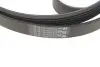 Комплект ременя генератора + помпа BMW 3 (F30/F80)/5 (F10)/X5 (F15/F85)/X6 (F16/F86) 3.0D N57 10-19 CONTINENTAL Contitech 6PK1698WP2 (фото 5)