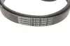 Комплект ременя генератора + помпа BMW 3 (F30/F80)/5 (F10)/X5 (F15/F85)/X6 (F16/F86) 3.0D N57 10-19 CONTINENTAL Contitech 6PK1698WP2 (фото 6)