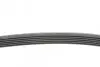 Ремень генератора Citroen Jumper 1.9TD 94-02 (ALT,PS,AC) CONTINENTAL Contitech 6PK1705 (фото 2)