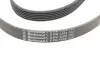 Ремень генератора Citroen Jumper 1.9TD 94-02 (ALT,PS,AC) CONTINENTAL Contitech 6PK1705 (фото 3)