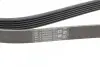 Ремень генератора Citroen Jumper 1.9TD 94-02 (ALT,PS,AC) CONTINENTAL Contitech 6PK1705 (фото 4)