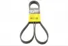 Ремень поликлиновый (6PK1715) ContiTech