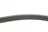 Ремінь генератора Opel Astra J/Corsa D 1.7CDTI 09-15/Ford Focus 1.8TDCi 98-04 CONTINENTAL Contitech 6PK1715 (фото 2)