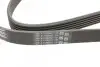 Ремінь генератора Opel Astra J/Corsa D 1.7CDTI 09-15/Ford Focus 1.8TDCi 98-04 CONTINENTAL Contitech 6PK1715 (фото 3)