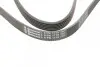 Ремінь генератора Opel Astra J/Corsa D 1.7CDTI 09-15/Ford Focus 1.8TDCi 98-04 CONTINENTAL Contitech 6PK1715 (фото 4)