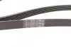 Ремень генератора VW Golf IV/Passat 1.4/1.6FSI 03-16/Toyota Auris/Avensis 1.4-1.8 03-12 CONTINENTAL Contitech 6PK1733 (фото 2)