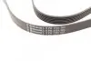 Ремень генератора VW Golf IV/Passat 1.4/1.6FSI 03-16/Toyota Auris/Avensis 1.4-1.8 03-12 CONTINENTAL Contitech 6PK1733 (фото 3)