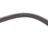 Ремень генератора VW Golf IV/Passat 1.4/1.6FSI 03-16/Toyota Auris/Avensis 1.4-1.8 03-12 CONTINENTAL Contitech 6PK1733 (фото 4)