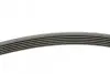 Ремінь генератора Peugeot 206/406/806/Expert/Fiat Scudo/Citroen C5/C8/Jumpy 1.9D/2.0HDI 95- CONTINENTAL Contitech 6PK1740 (фото 2)
