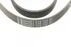 Ремінь генератора Peugeot 206/406/806/Expert/Fiat Scudo/Citroen C5/C8/Jumpy 1.9D/2.0HDI 95- CONTINENTAL Contitech 6PK1740 (фото 3)