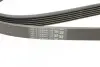 Ремінь генератора Peugeot 206/406/806/Expert/Fiat Scudo/Citroen C5/C8/Jumpy 1.9D/2.0HDI 95- CONTINENTAL Contitech 6PK1740 (фото 4)