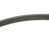 Ремінь генератора Peugeot 206/306/4007/406/4007/Citroen C5 1.9TD/2.0/2.2HDI 96-/Ford Galaxy 2.2 08- CONTINENTAL Contitech 6PK1743 (фото 2)