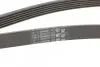 Ремінь генератора Peugeot 206/306/4007/406/4007/Citroen C5 1.9TD/2.0/2.2HDI 96-/Ford Galaxy 2.2 08- CONTINENTAL Contitech 6PK1743 (фото 3)