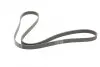 Ремінь генератора Peugeot 206/306/4007/406/4007/Citroen C5 1.9TD/2.0/2.2HDI 96-/Ford Galaxy 2.2 08- CONTINENTAL Contitech 6PK1743 (фото 5)