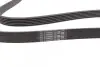 Ремінь генератора Renault Clio/Laguna/Megane 1.4/1.6 97-05/Ford Fiesta 1.25/1.4 95-02 CONTINENTAL Contitech 6PK1750 (фото 2)