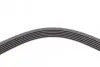Ремінь генератора Renault Clio/Laguna/Megane 1.4/1.6 97-05/Ford Fiesta 1.25/1.4 95-02 CONTINENTAL Contitech 6PK1750 (фото 4)