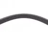 Ремень генератора MB W202/203/VW/Audi 2.4/2.8i CONTINENTAL Contitech 6PK1760 (фото 3)
