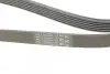 Ремень генератора VW T4 2.4D/2.5TDI 90-03/Ford Fiesta 1.25-1.6 95-02 CONTINENTAL Contitech 6PK1767 (фото 3)