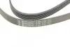 Ремень генератора VW T4 2.4D/2.5TDI 90-03/Ford Fiesta 1.25-1.6 95-02 CONTINENTAL Contitech 6PK1767 (фото 4)