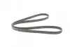 Ремень генератора VW T4 2.4D/2.5TDI 90-03/Ford Fiesta 1.25-1.6 95-02 CONTINENTAL Contitech 6PK1767 (фото 5)