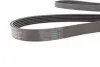 Ремінь генератора BMW 3 (E90) 3.2D 07-11/ Ford Transit 2.13 16V/Renault Laguna 2.2 dCi 01- CONTINENTAL Contitech 6PK1780 (фото 3)