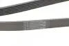 Ремінь генератора Opel Combo/Astra/Vectra/Omega 1.2-2.2 91-03/BMW 1 (E81/E87) 2.0D 04-11 CONTINENTAL Contitech 6PK1800 (фото 3)