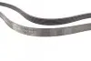 Ремень генератора Toyota Corolla 1.4/1.6 99-02/Ford Mondeo 2.5 96-00/Renault Laguna 1.6 07-15 CONTINENTAL Contitech 6PK1820 (фото 2)