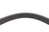 Ремень генератора Mazda 2/3 1.3-1.6 07-/Toyota Corolla 1.4/1.6 99-02 CONTINENTAL Contitech 6PK1840 (фото 4)