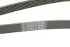 Ремінь генератора Ford Mondeo IV 2.0TDCI 07-15/Volvo S80/V70 2.0D/TDi 07-15 CONTINENTAL Contitech 6PK1845 (фото 3)
