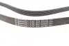 Ремень генератора Ford Mondeo 2.0TDCi 07-15/Opel Astra J/Insignia A 2.0CDTI 09-17 CONTINENTAL Contitech 6PK1847 EXTRA (фото 2)